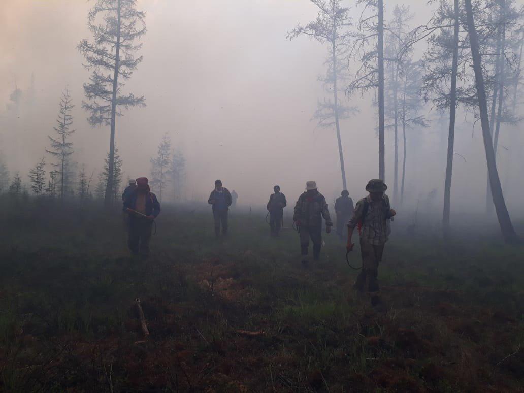 Sibirya'da orman yangınları sürüyor: 1.3 milyon hektarlık alan küle döndü
