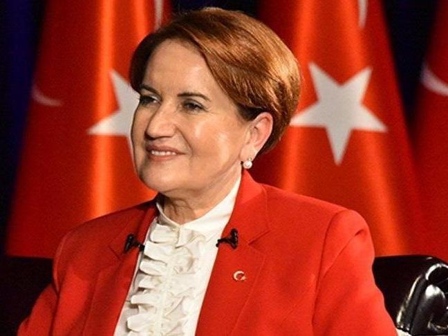 TEMA Vakfı’nın fidan bağışı kampanyasına Akşener’den destek