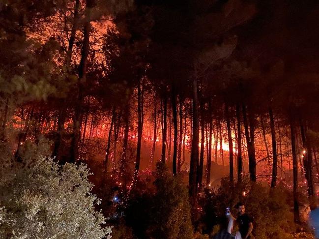 Muğla Fethiye Ölüdeniz'de orman yangını çıktı! Belediye başkanından açıklama