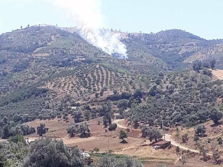 İzmir Kiraz'da da orman yangını çıktı 