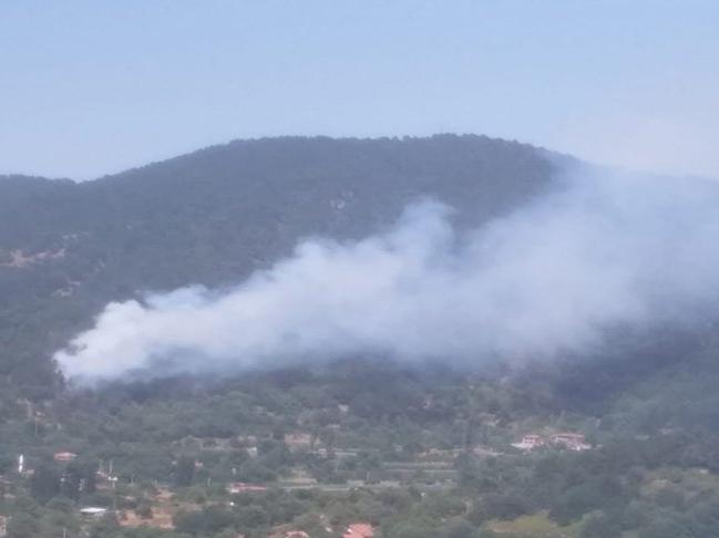 Tarım ve Orman Bakanlığı açıkladı: 85 yangından 74'ü kontrol altında