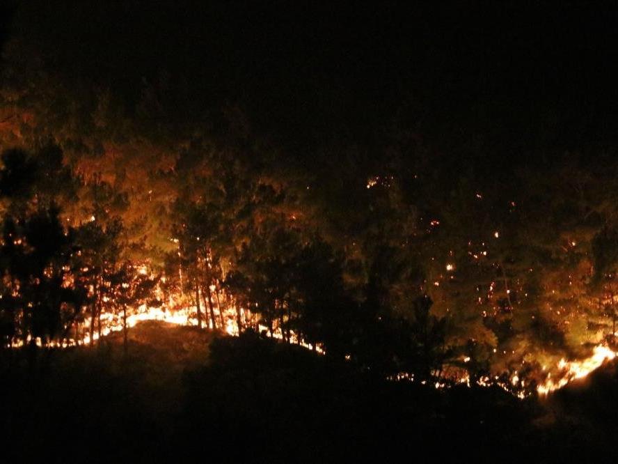 Manavgat'tan acı haber: Alevlerin arasında kalan 2 orman işçisi hayatını kaybetti