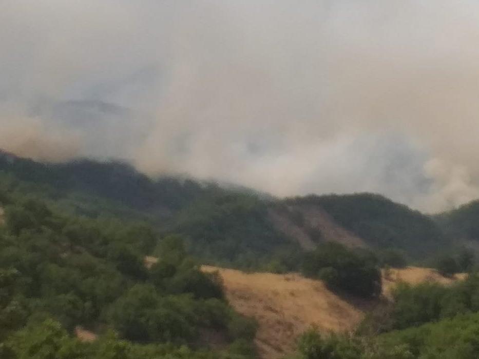Tunceli'den kafa karıştıran yangın açıklaması: Vali 'söndü' dedi belediye yalanladı