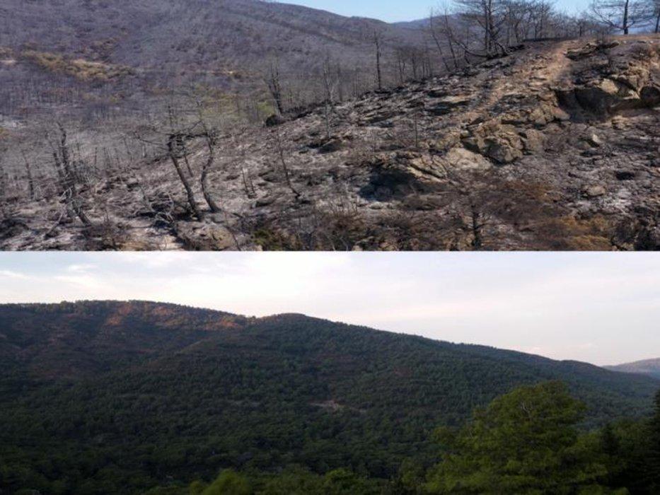 Marmaris’in yangın öncesi ve sonrası