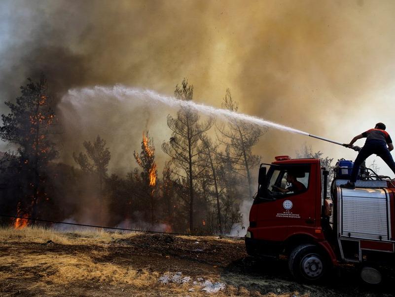 EFFIS: 2021'de 43 ülkede yangın meydana geldi