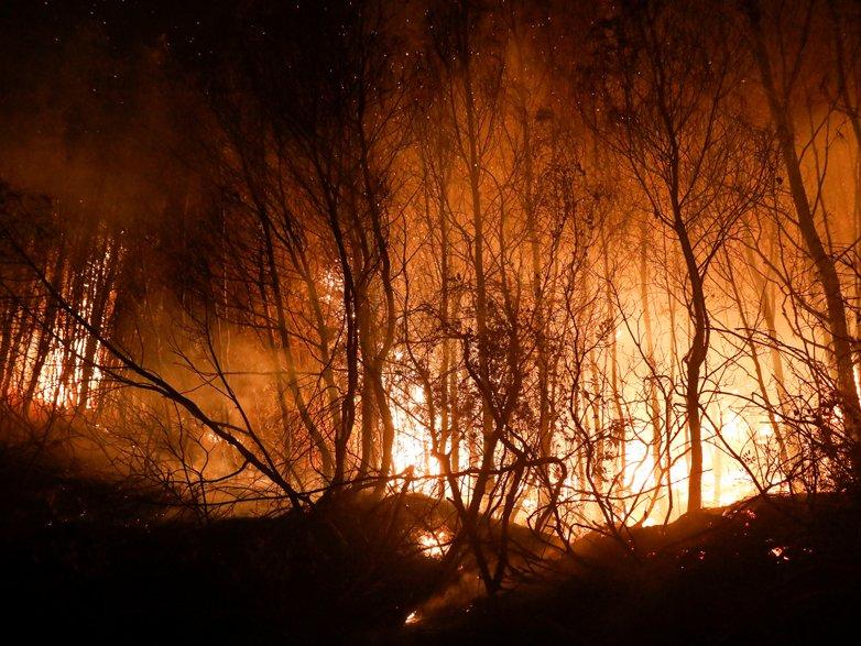 Avrupa yangınla mücadele ediyor: 800'den fazla yangın