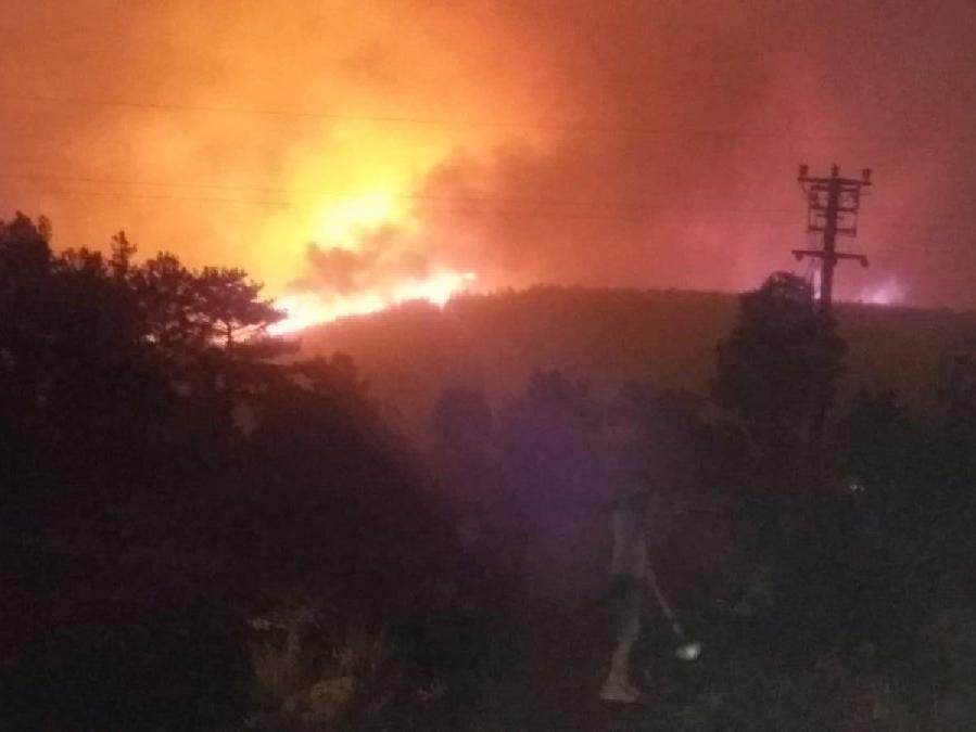 Orman yangını Bozdoğan'da  kontrol altına alındı, Kavaklıdere’de sürüyor 