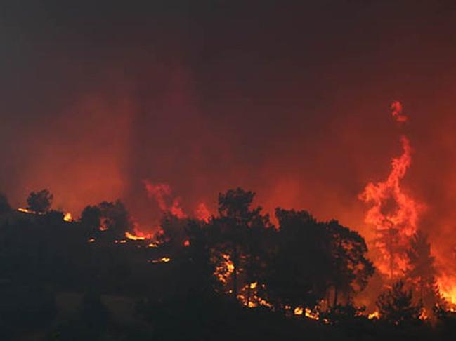 Orman Genel Müdür Yardımcısı Özkaya: Büyük yangınlarımız aynı anda oldu