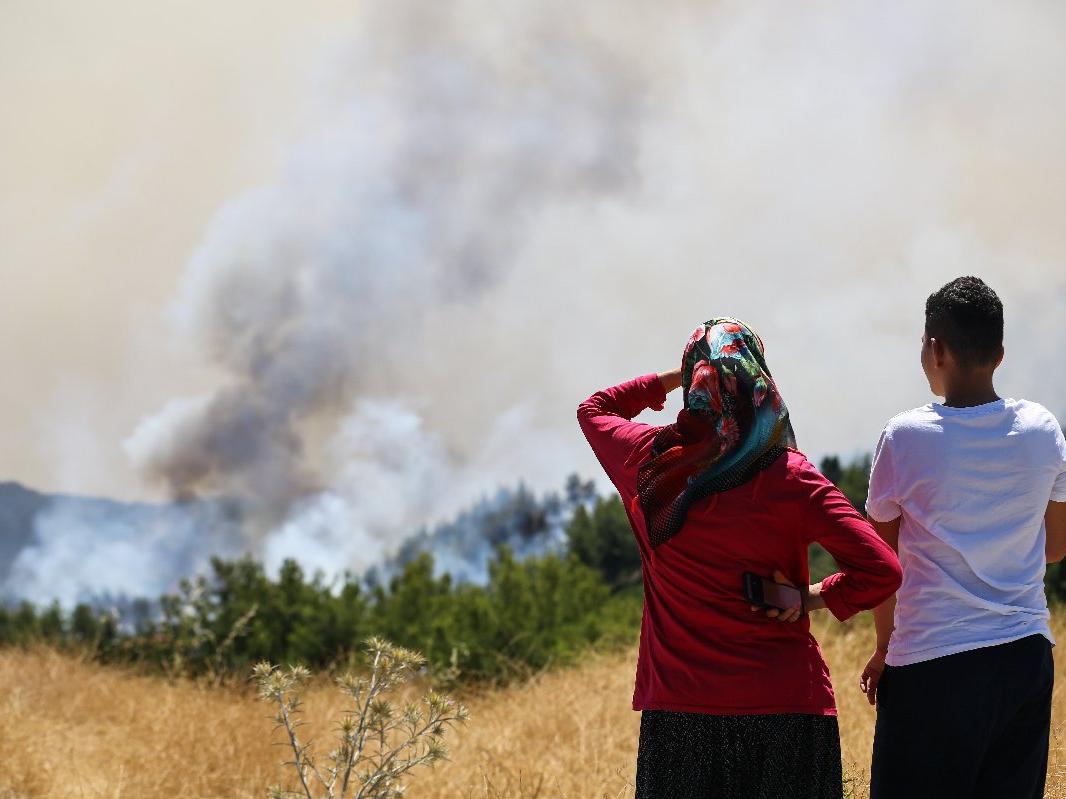 The Guardian'dan Türkiye'deki orman yangınlarıyla ilgili yorum: Hükümete öfke artıyor