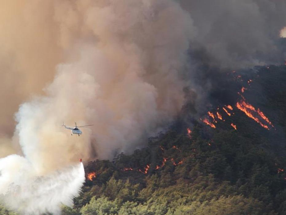 Muğla'da yanan alan 40 bin hektara yaklaştı