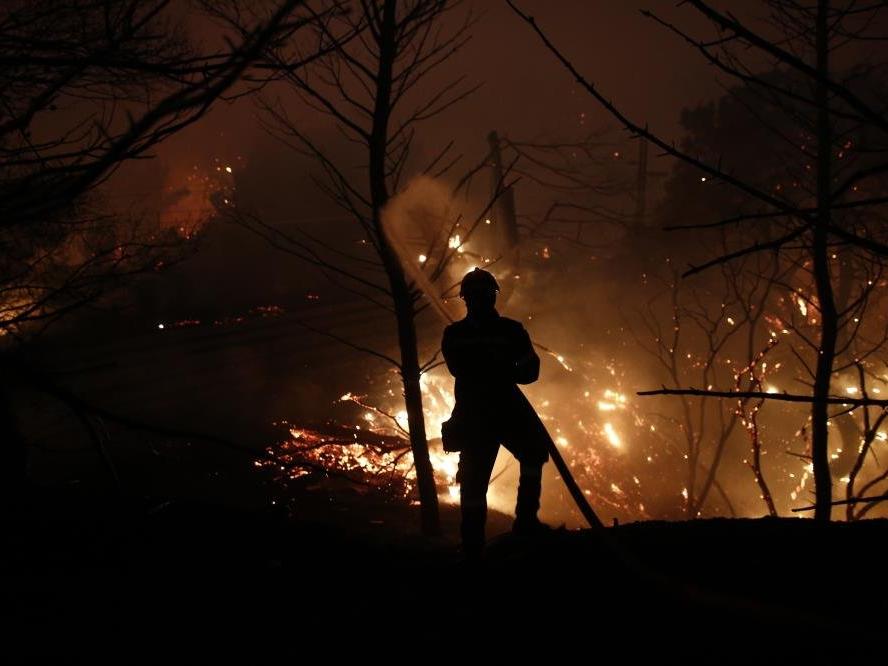 Atina’nın kuzeyindeki orman yangınları yeniden alevlendi