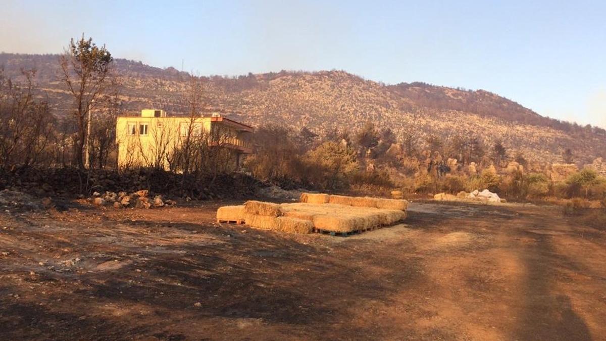Orman-İş’ten çarpıcı Manavgat raporu: Daha sık ve şiddetli yangınlar olacak