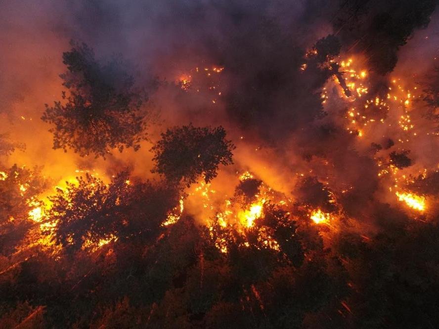 İletişim Başkanlığı açıkladı: İşte Türkiye'deki orman yangınlarında son durum