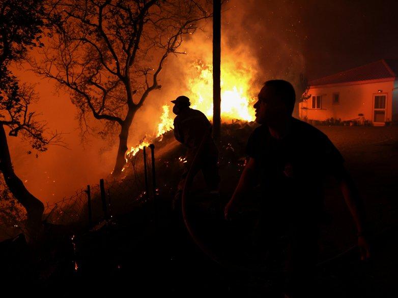 Yunanistan'da acil durum: Yangınlar devam ediyor