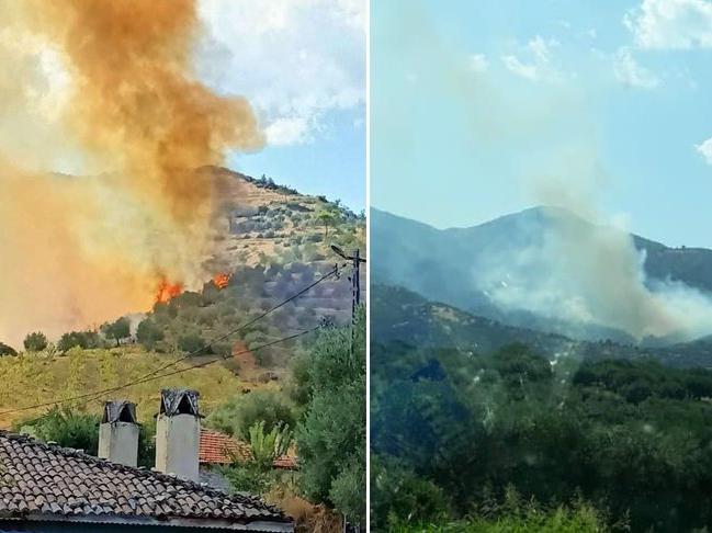 Karacasu'da zeytinlik yangını! Alevler ormanı tehdit ediyor