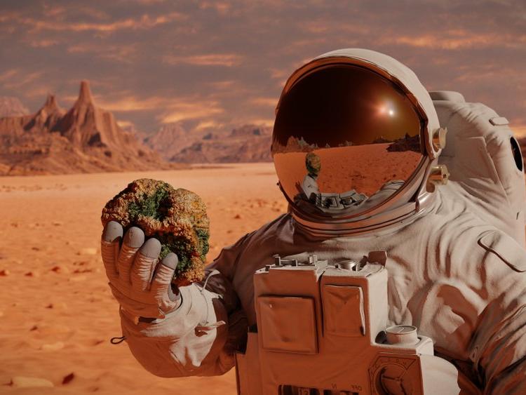NASA, Mars simülasyonunda yaşayacak insanlar arıyor: Başvurular başladı