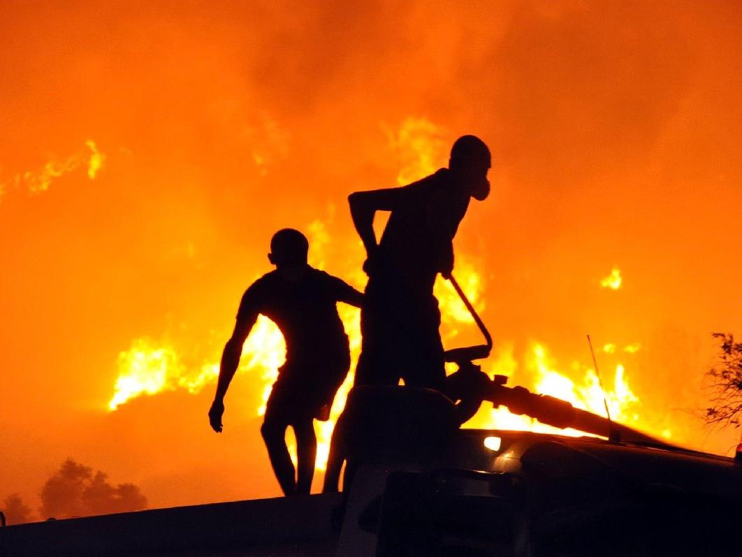 113 kurum orman yangınlarına karşı taleplerini sıraladı