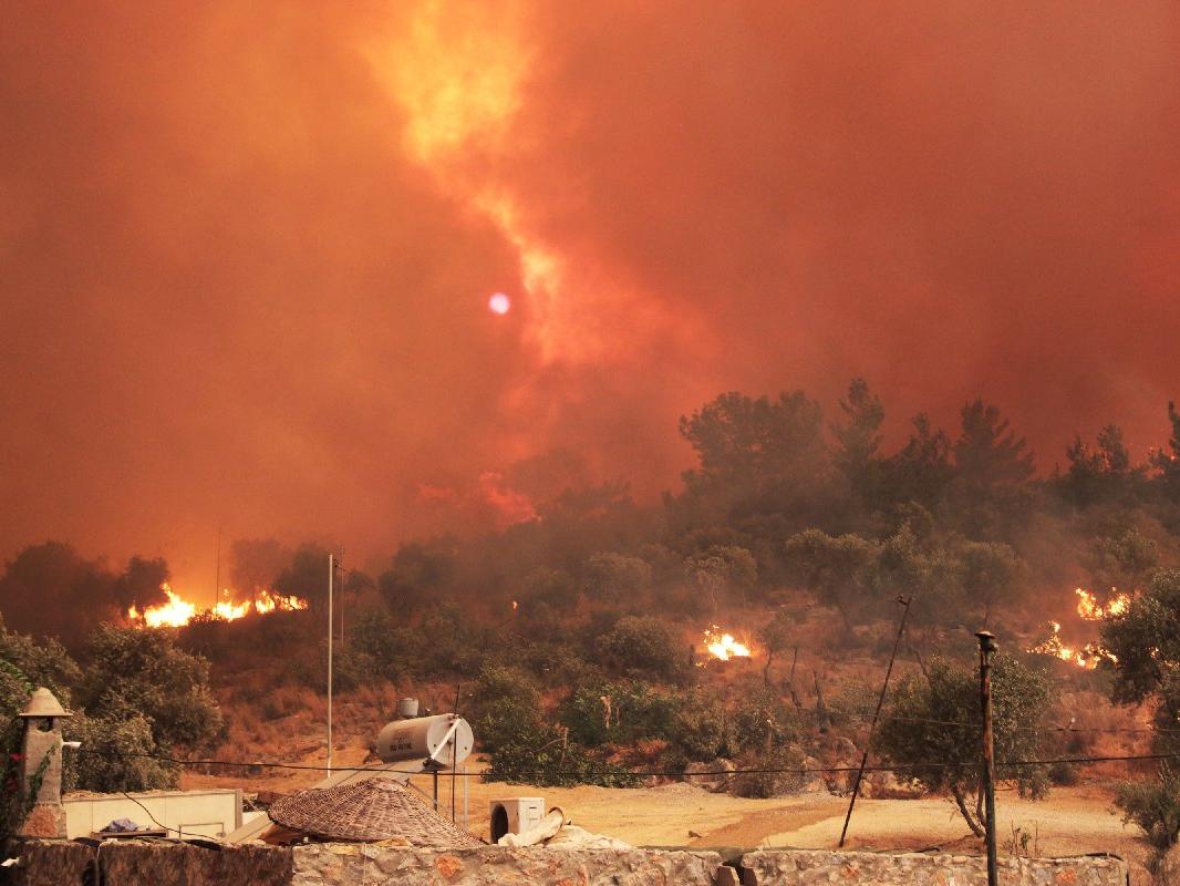 Muğla'da orman yangınlarının bilançosu ortaya çıktı