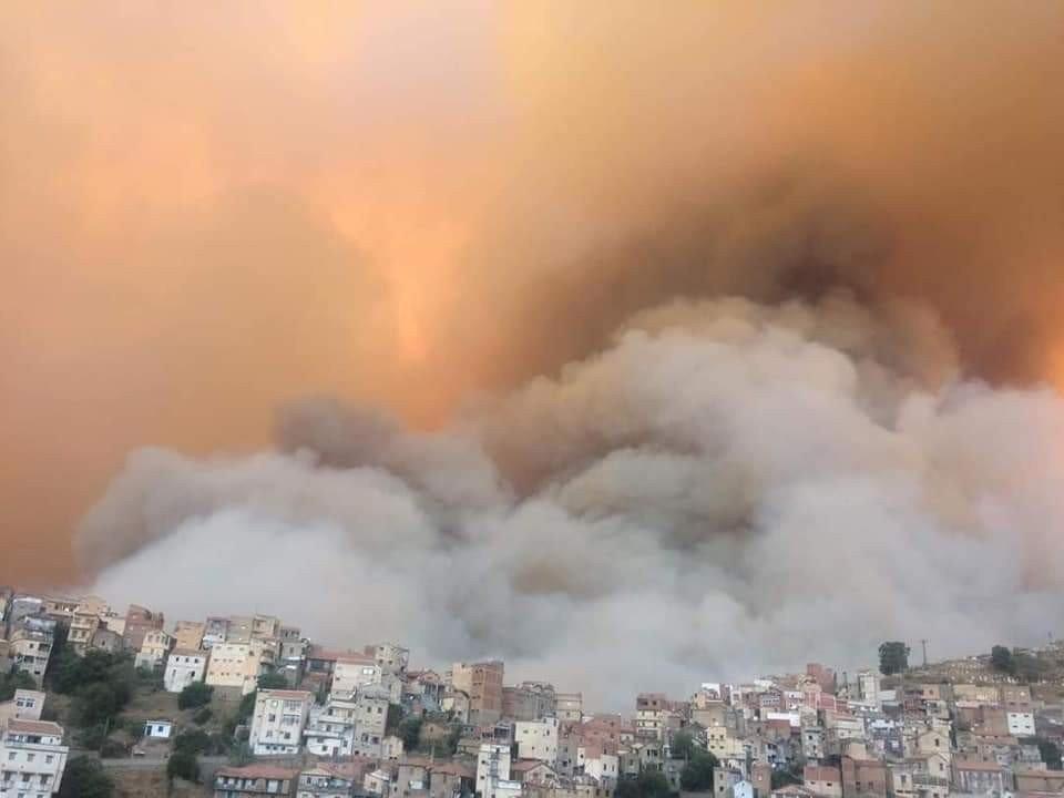 Cezayir'de yangın 14 eyalete sıçradı: Ölü sayısı artıyor