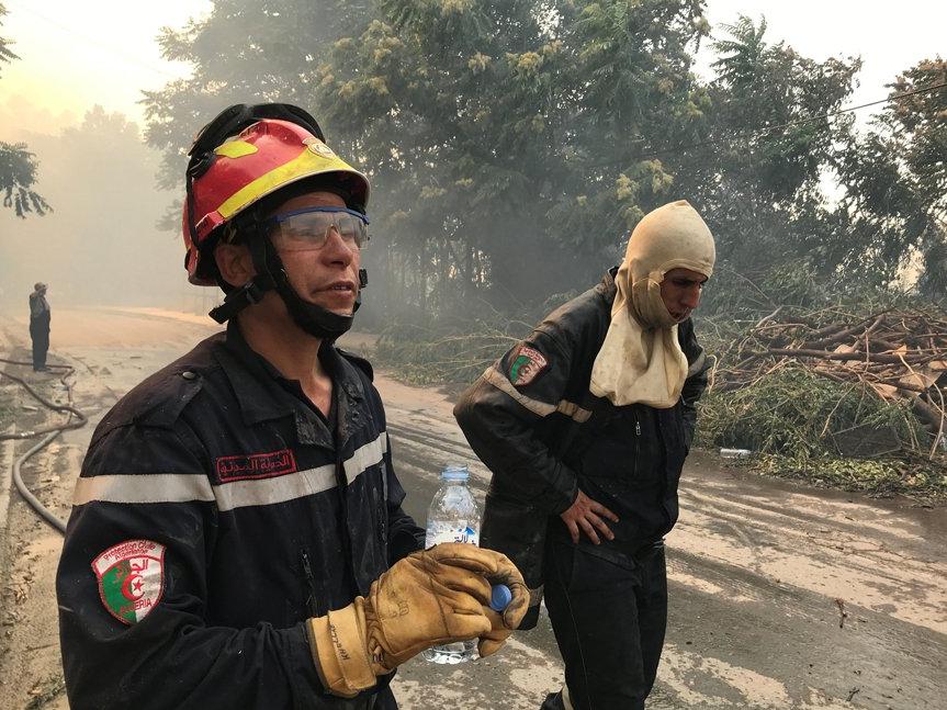 Cezayir'de orman yangınlarından ölenlerin sayısı artıyor