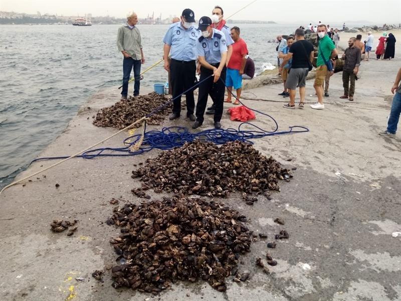 Kaçak avlanan yarım ton midye denize bırakıldı