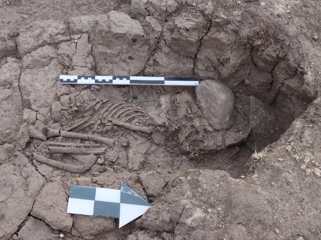 Tunceli'de 5 bin 500 yıllık çocuk iskeleti bulundu
