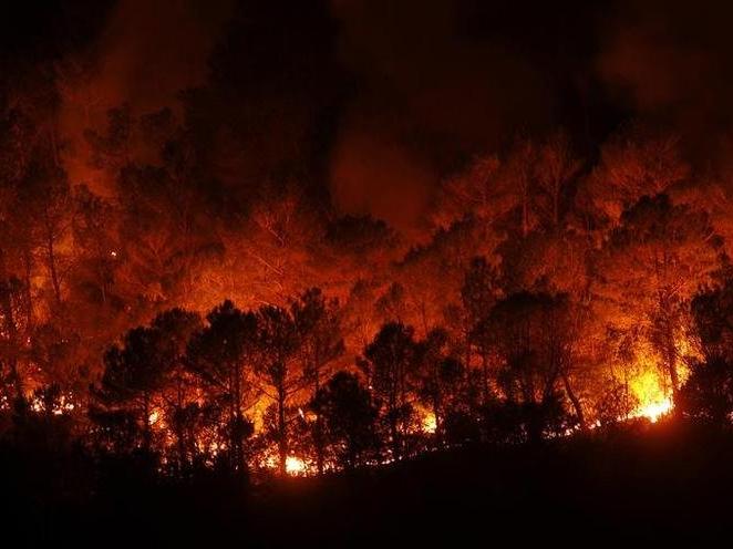 İspanya'da yüksek sıcaklıklar nedeniyle 'yangın' alarmı verildi