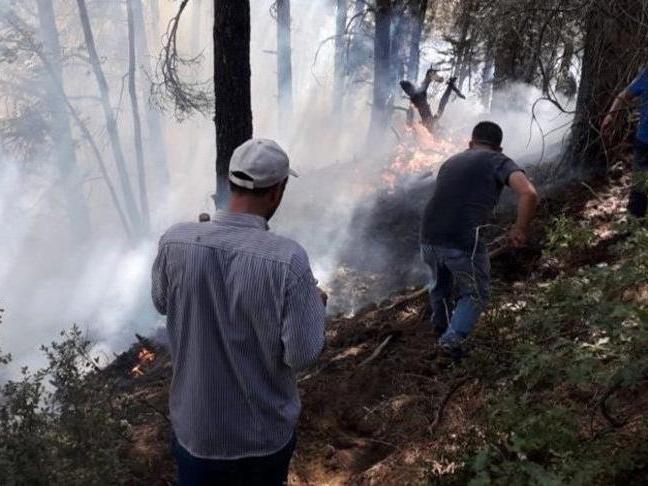 İzmir'de yangınlara sivil müdahale için 'Orman Gönüllüleri Ekibi' kuruluyor