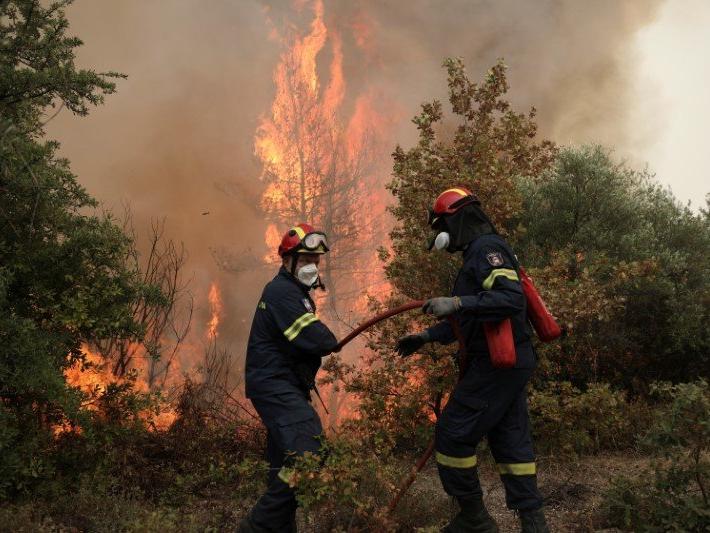 Yunanistan'da 63 farklı yerde orman yangını