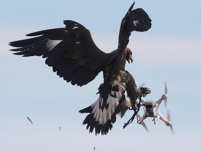 Fransa'da drone krizi: "Doğal yaşamı korkutmayı bırakın"