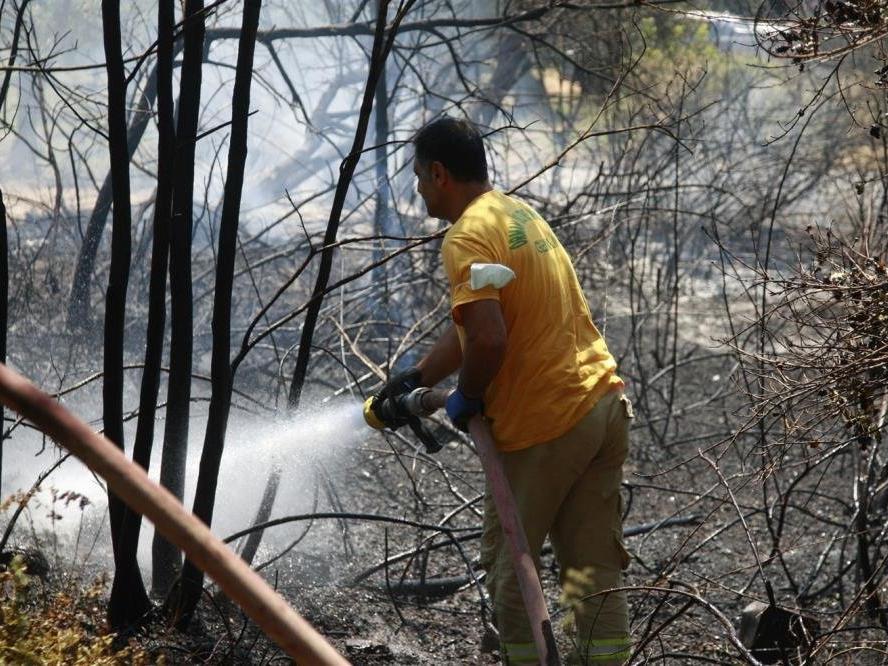 Orhangazi'de orman yangını büyümeden söndürüldü