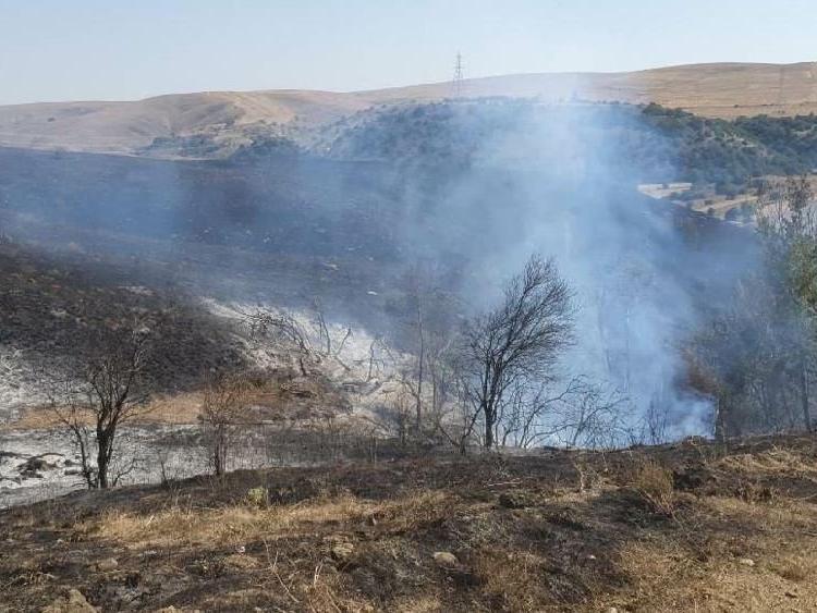 Kaynak makinesi 300 hektar tarlayı yaktı