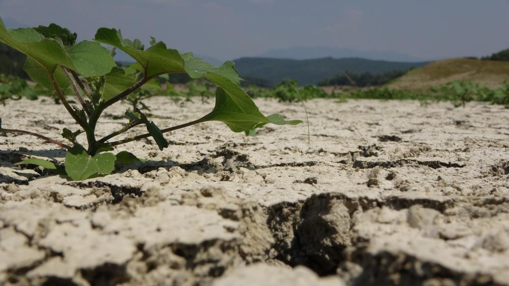 Aslantaş Barajı'nda korkutan kuraklık manzarası