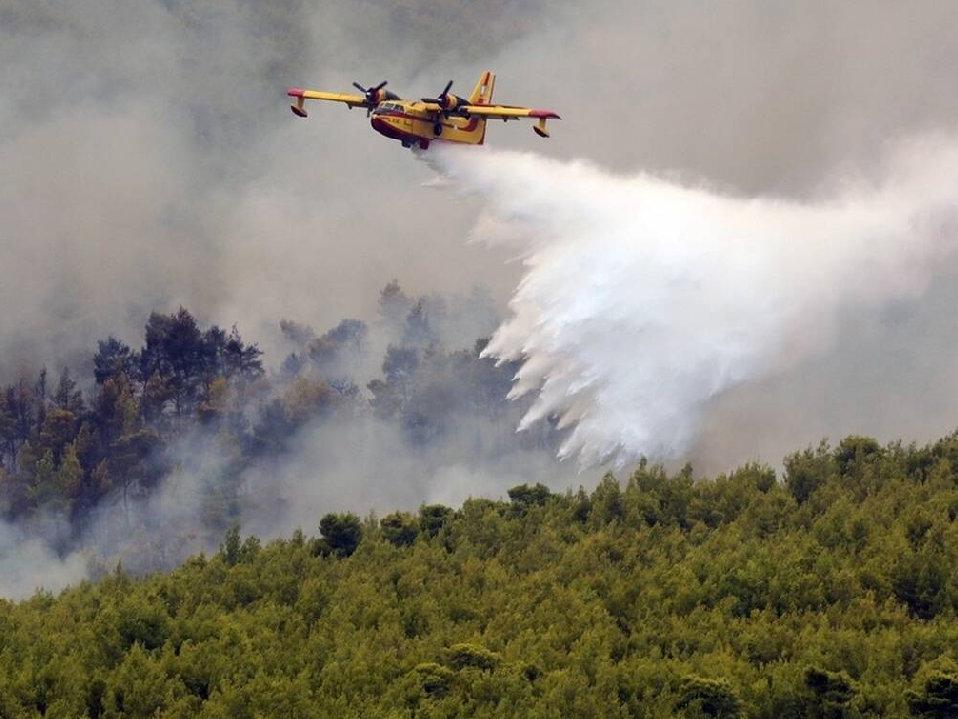 İki haftada 13 orman yangını çıkaran 14 yaşındaki çocuk tutuklandı