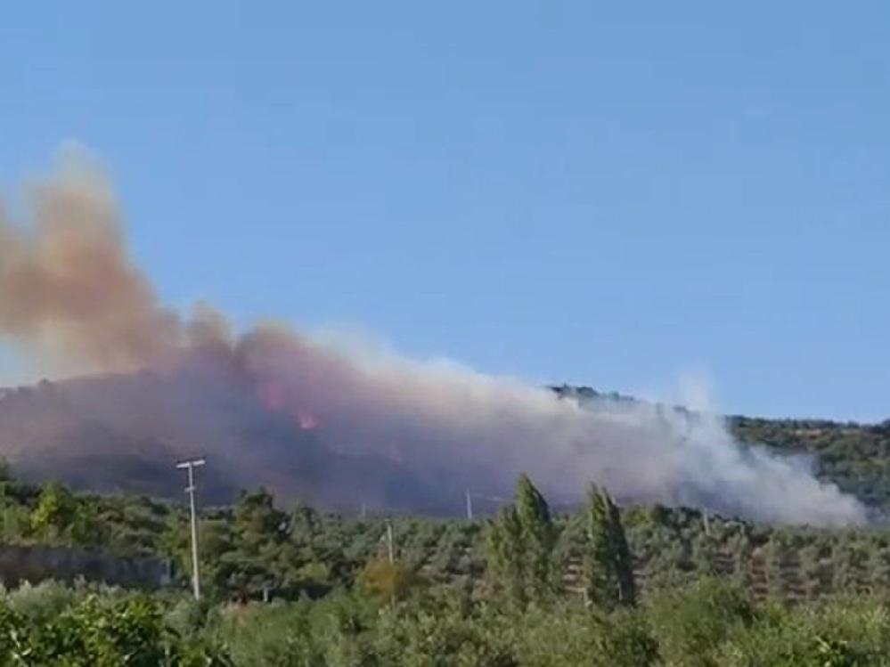 Bursa'da art arda orman yangınları