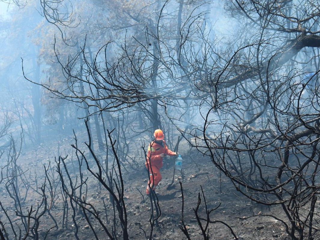 Heybeliada'daki yangında 6.9 hektarlık orman zarar gördü