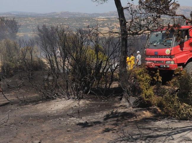 Çanakkale'de orman yangını çıktı