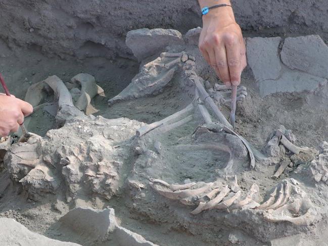 Eskişehir'de 5 bin yıllık küp mezarlarda çocuk iskeletleri bulundu