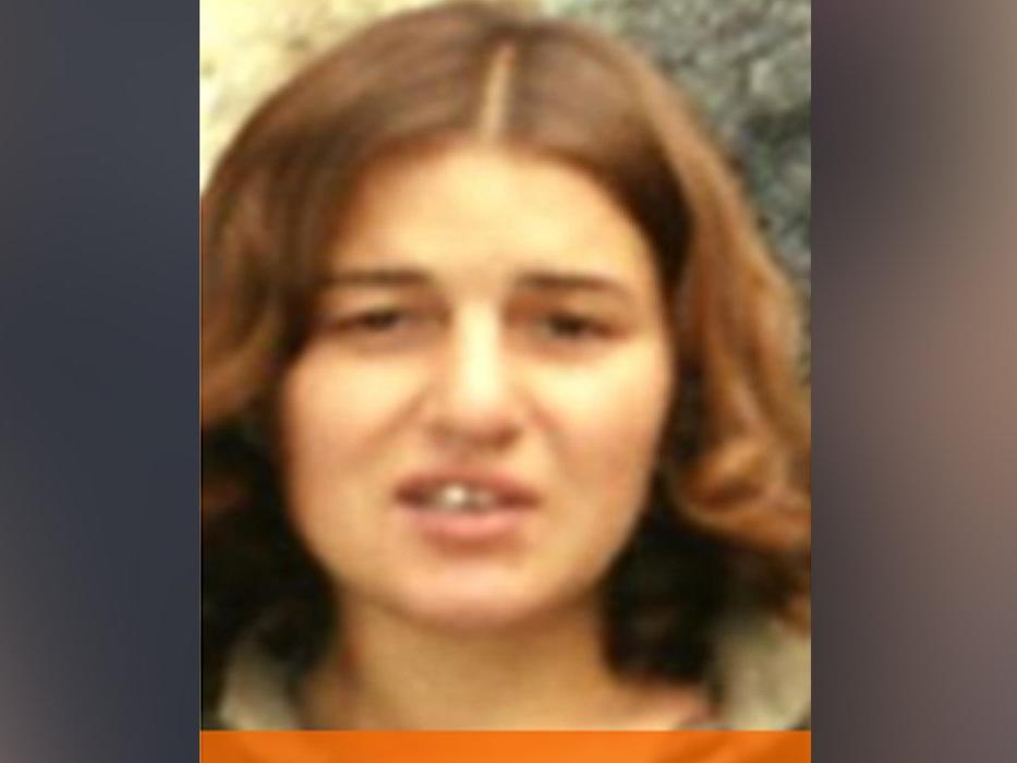 Turuncu kategorideki terörist  Diyarbakır'da yakalandı
