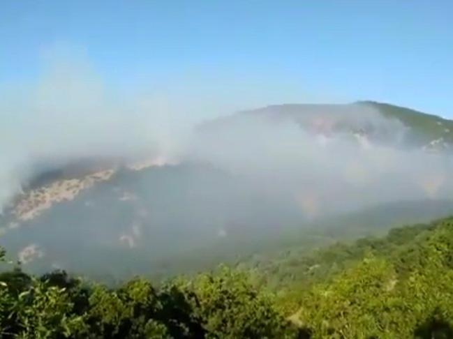 74 barodan Tunceli'deki orman yangını için ortak açıklama