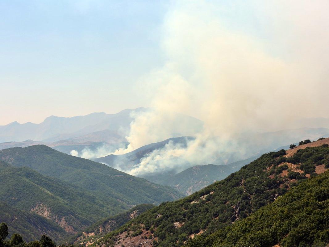 Munzur Vadisi Milli Parktaki yangına müdahale sürüyor