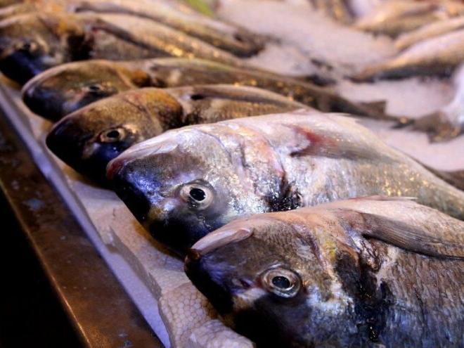 Eylül ayında hangi balık yenir? Hangi balık, hangi ayda lezzetlidir?