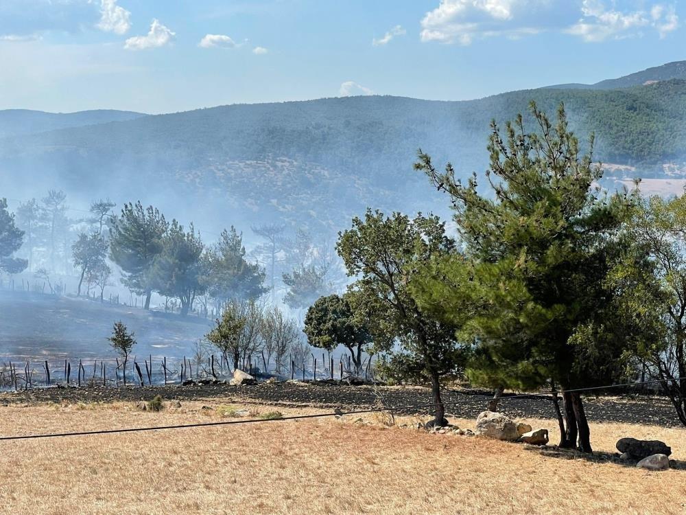 Bakan Pakdemirli: Çanakkale’deki orman yangını kontrol altına alındı