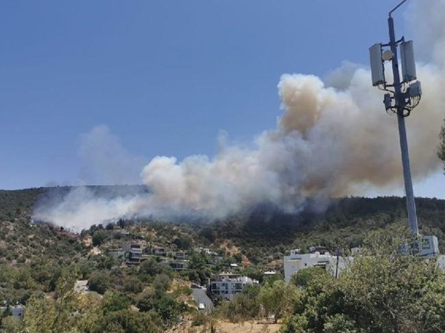 CHP, orman yangınları raporunu açıkladı