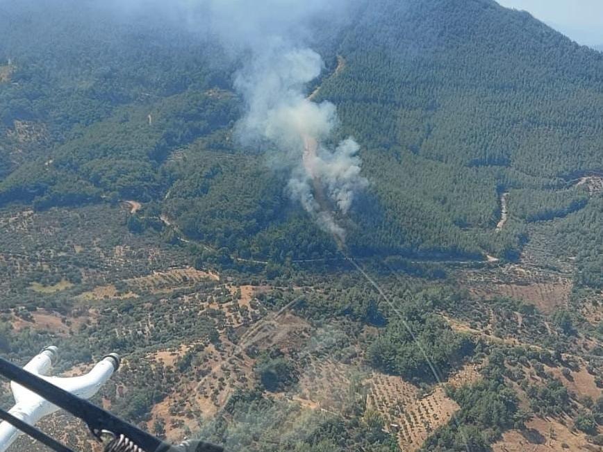 Kemalpaşa'da orman yangını