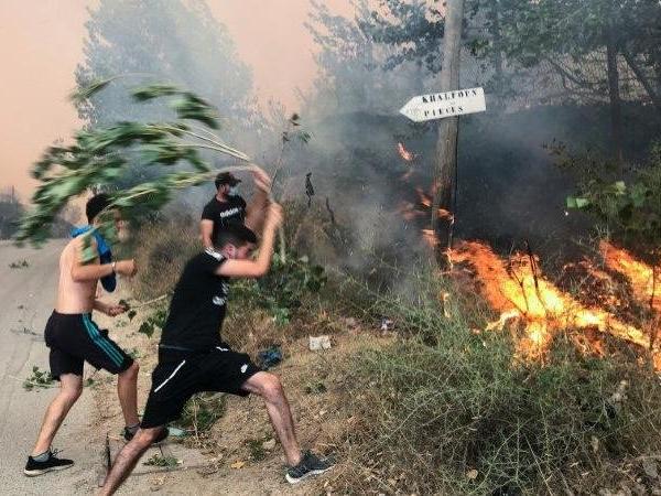 Cezayir’de orman yangınları nedeniyle 30 kişi tutuklandı