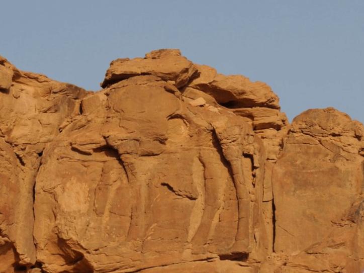 Suudi Arabistan çöllerinde 6 bin yıllık izler