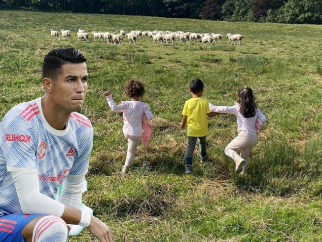 Koyunlar, Cristiano Ronaldo'yu 6 milyon Sterlin değerindeki evden etti!