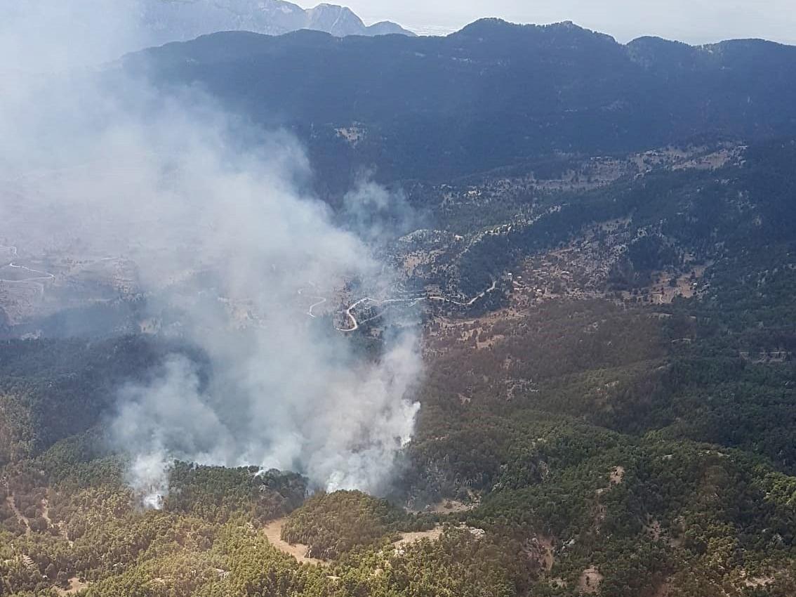 Manavgat'ta yeniden orman yangını