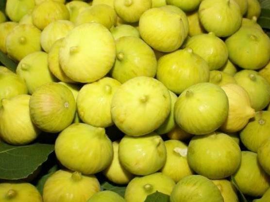 Kuraklık inciri de vurdu: Rekolte kaybı yüzde 70i buldu